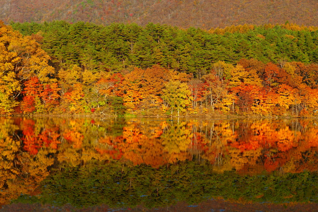 観音沼森林公園３