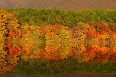 観音沼森林公園３