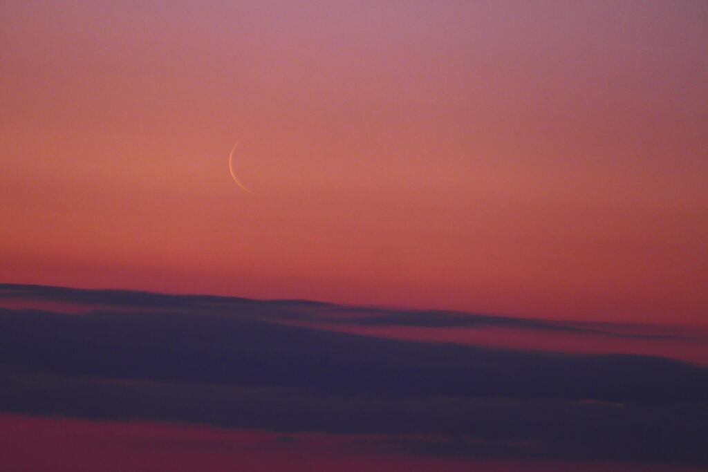 三日月の朝