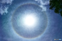 見上げれば白虹