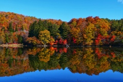 観音沼森林公園３