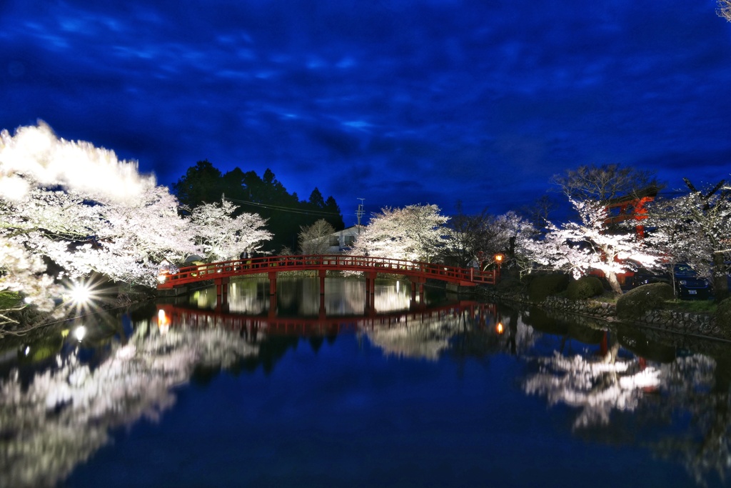 涼ケ岡八幡神社②