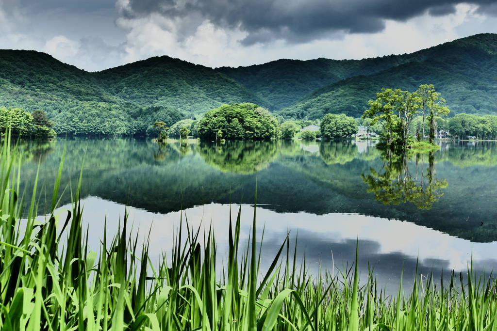 リフレクション