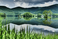 リフレクション