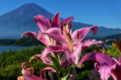 富士山プラスワン