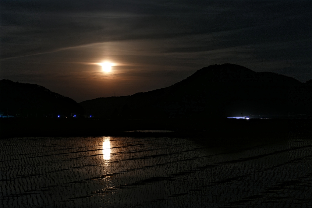 月夜の始まり