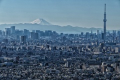富士山とスカイツリー