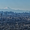 富士山とスカイツリー