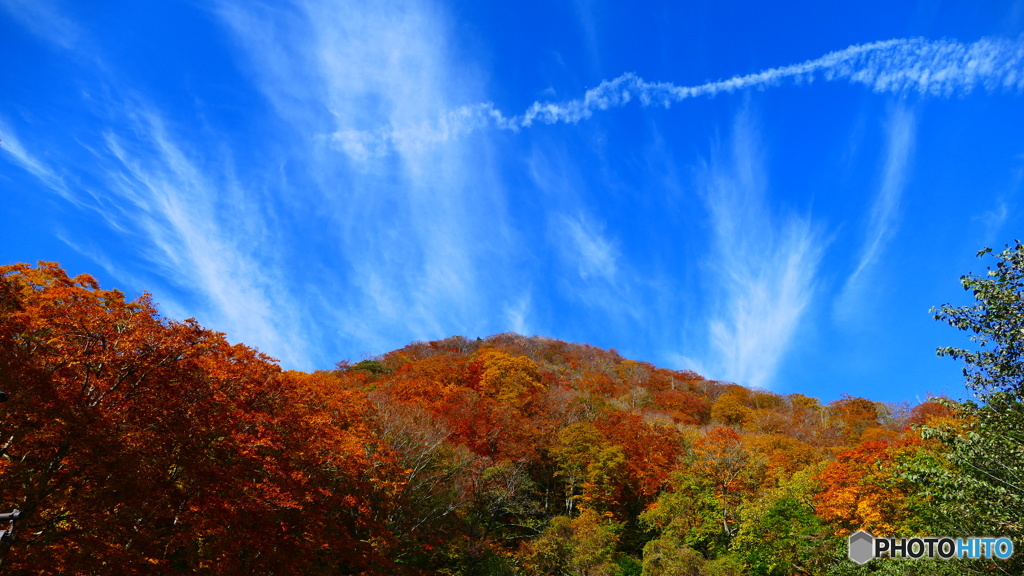 甲子トンネル近辺 ２