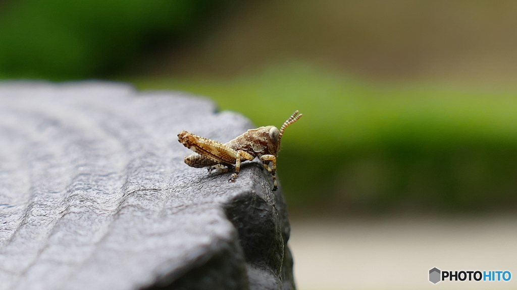 手すりでマッタリ