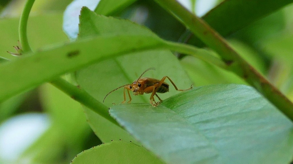 睨まれた(－－；)