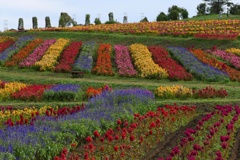 フラワーワールド3