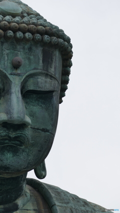 鎌倉大仏３