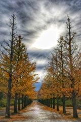 あづま総合運動公園