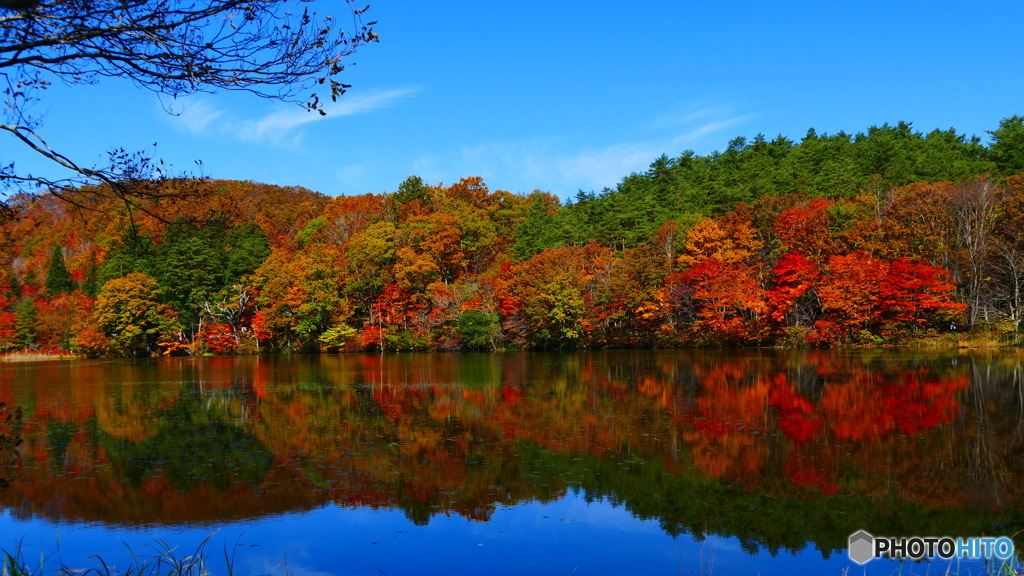 観音沼森林公園 ２