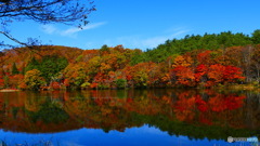 観音沼森林公園 ２