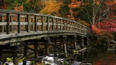 奥日光湯ノ湖２