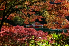 紅色の中を走る