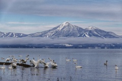 磐梯山と白鳥と１