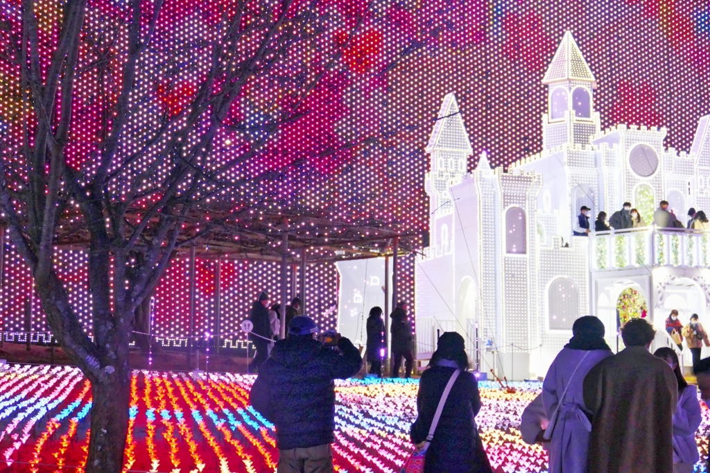 お城のイルミネーション