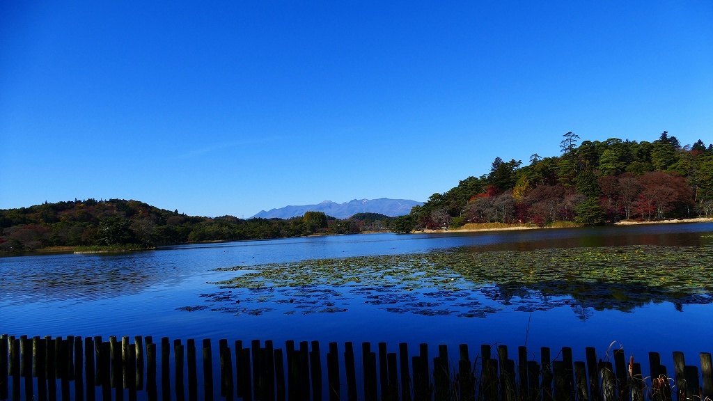 P1160625@白河市南湖