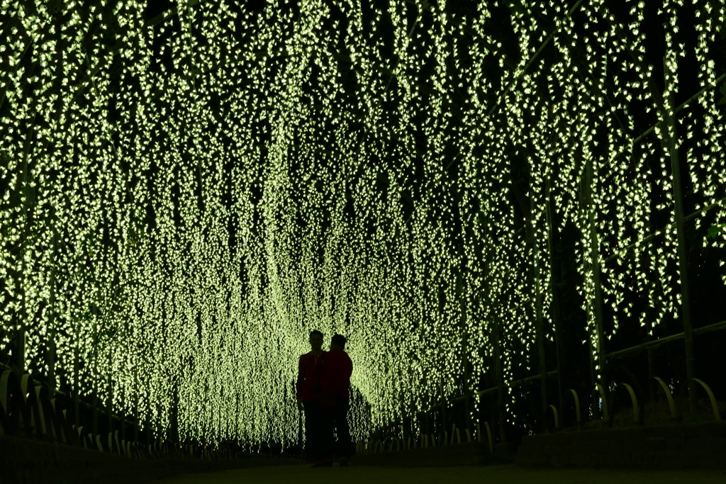 イルミネーション１