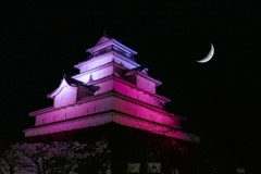 鶴ヶ城と三日月と