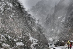 降りしきる雪