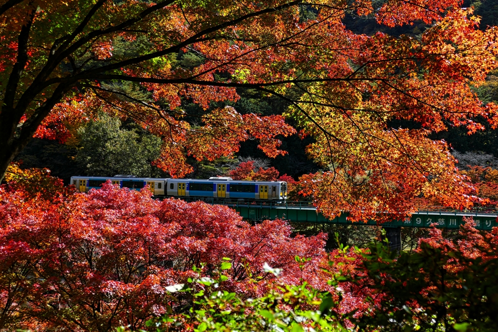 紅色の中を走る ２