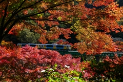 紅色の中を走る ２