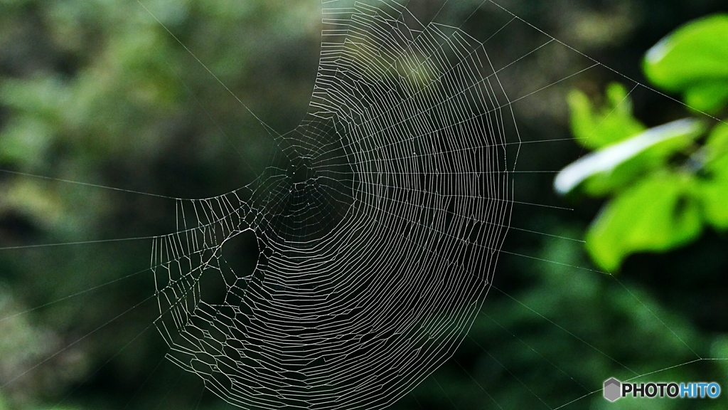 制作者不在・・・