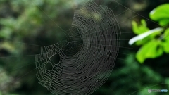 制作者不在・・・