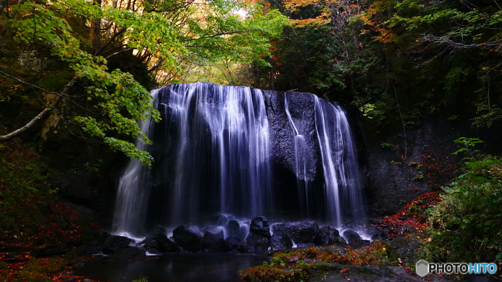 まだ色づかず ２