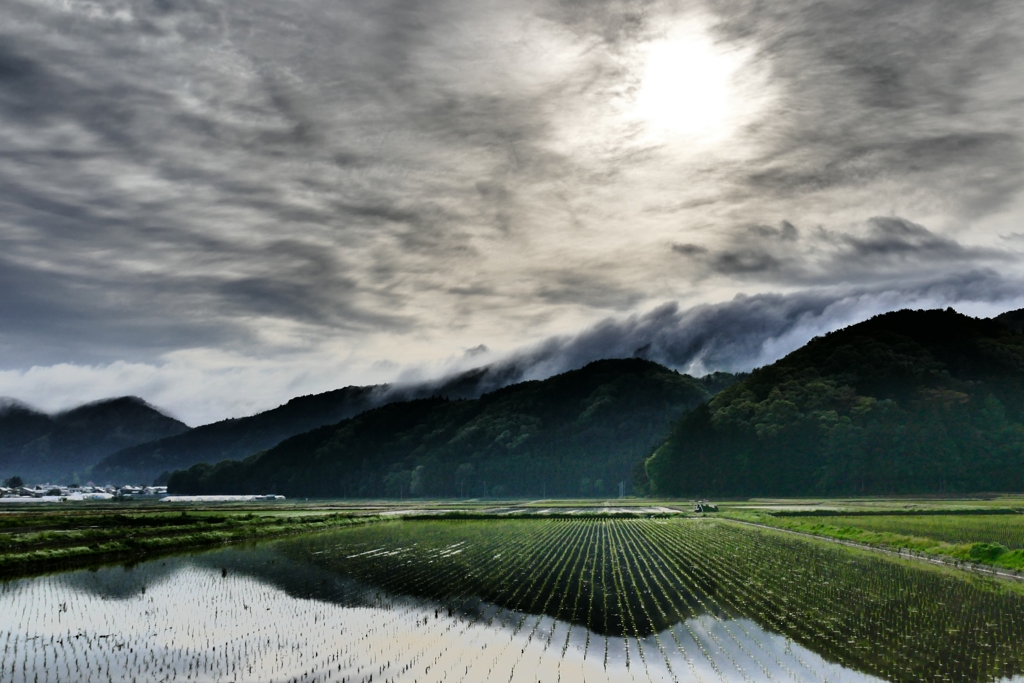 田んぼリフレクション ３