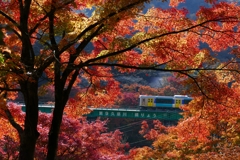 電車と紅葉１