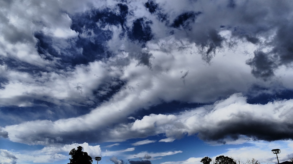 P1160363ある日の。。。