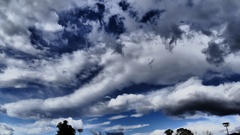 P1160363ある日の。。。