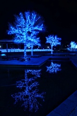 ブルーイルミネーション
