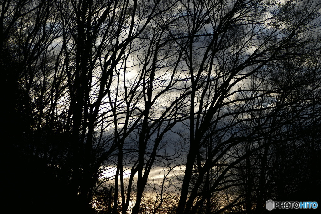 どんよりモーニング ２