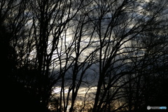 どんよりモーニング ２