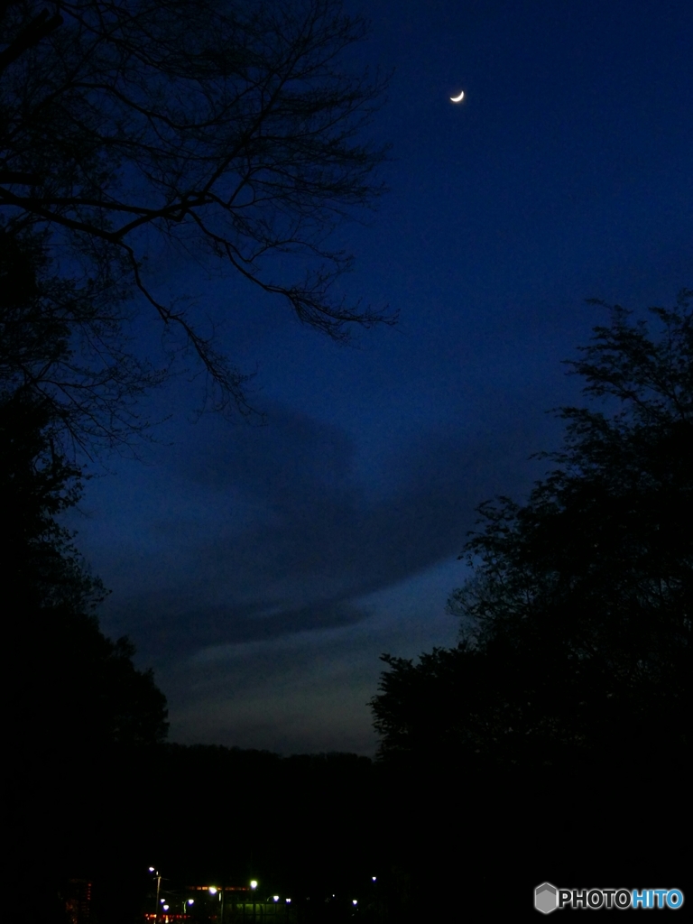 上弦の月