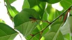 裏側にコッソリ