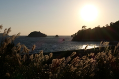 牡鹿半島