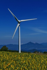 風車と磐梯山と猪苗代湖とヒマワリ１