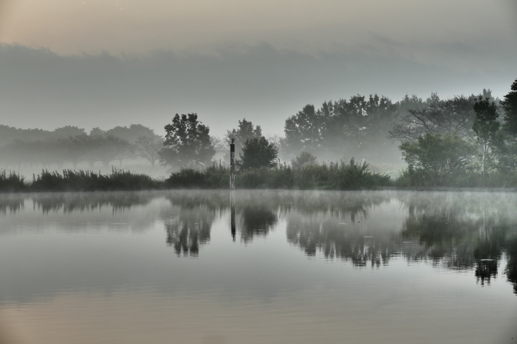 朝霧の夜明け１