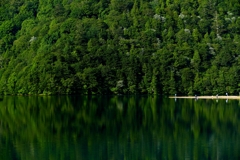 夏のリフレクション２