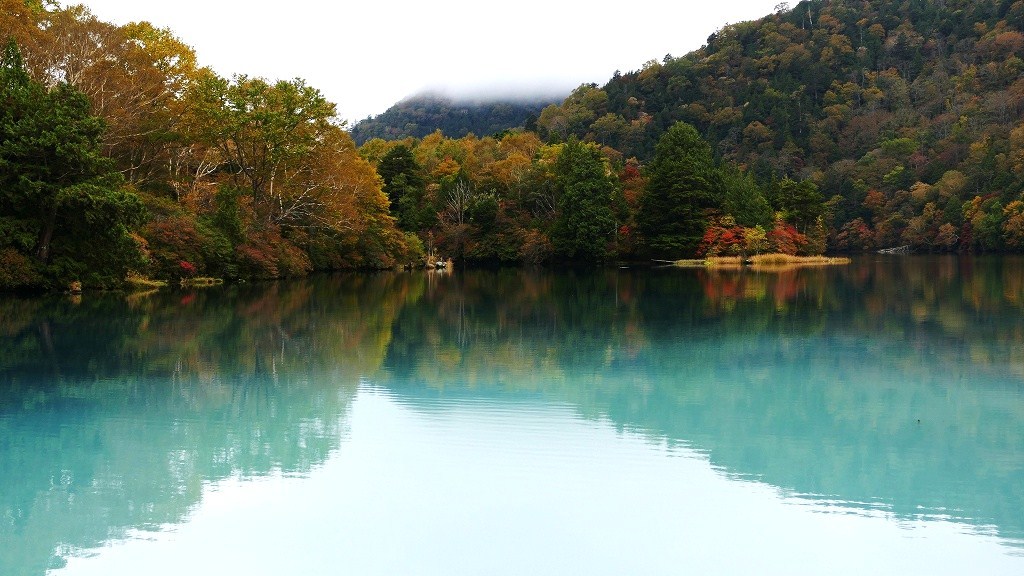 P1150062　奥日光