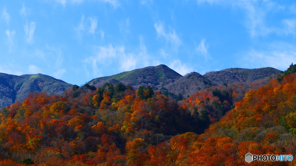 甲子トンネル近辺 １