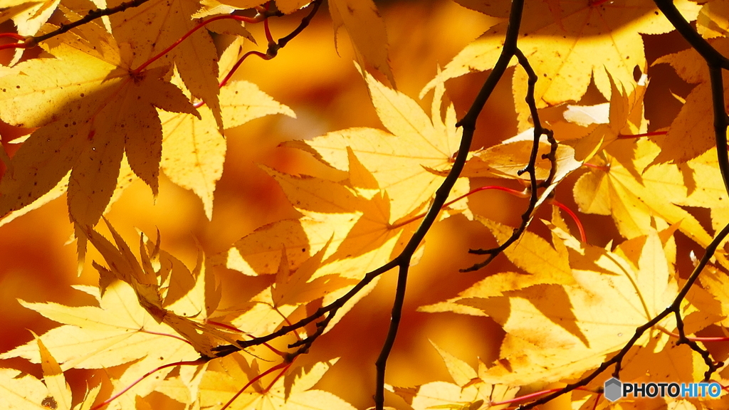 観音沼森林公園 ４