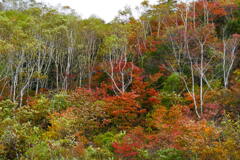 磐梯吾妻スカイライン１